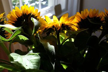 Zon in de bloemen van Minke Wagenaar