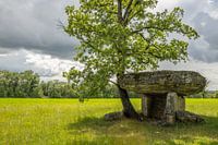 Dolmen Ferrières-Haut