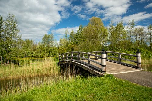 Over Bruggen van Rust