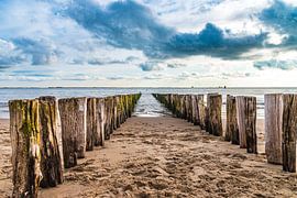 De weg naar de Westerschelde van Jurjen Jan Snikkenburg