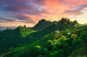 Sonnenuntergang über den Hügeln des Prosecco. Italien
