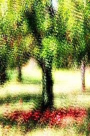 Surreal malerischer, stimmungsvoller Apfelbaum von Tibor Nagy