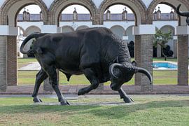 Stier von Osborne von Hans Verhulst