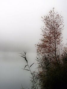 Melancholie