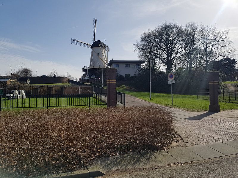 Looimolen in Nijmegen von Jeroen Schuijffel