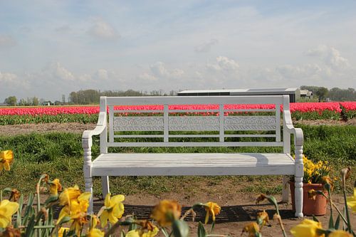 Bulb fields