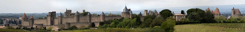 Panorama Carcassonne von Ton van Buuren