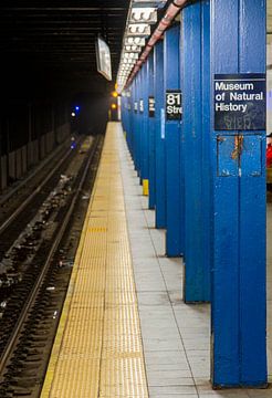 Metrostation 81 Street in New York