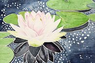 Roze lotusbloem in sprankelend water (aquarel schilderij bloemen planten yoga boeddhisme vijver) van Natalie Bruns thumbnail