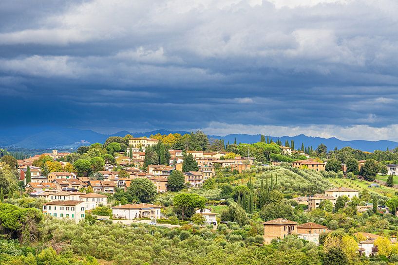 View over the city of Siena in Italy by Rico Ködder
