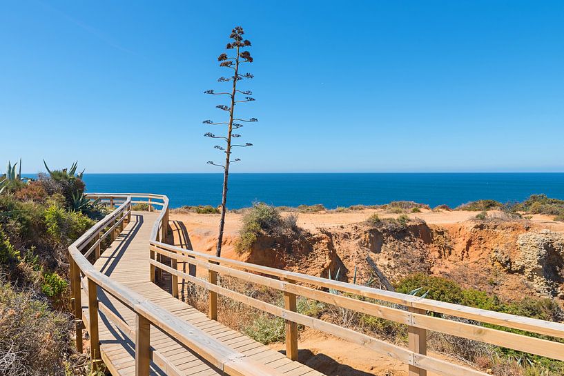 Ponta da Piedade Lagos promenade van SusaZoom