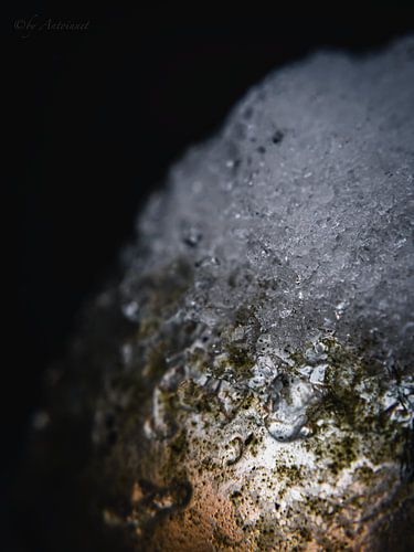 Froid et léger&quot ;