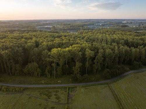 Nietelbroeken (Haspengouw) - Aube sur Nietelbroeken 1