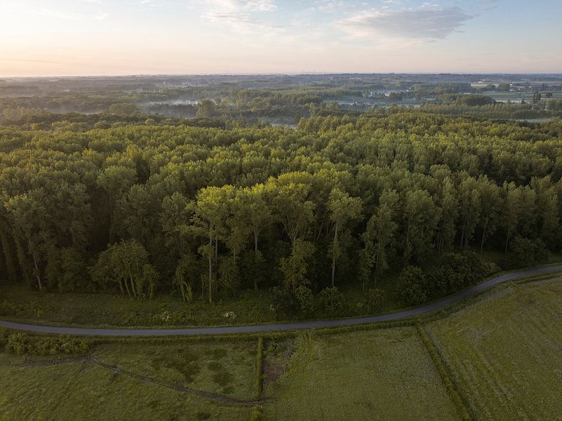 Nietelbroeken (Haspengouw) - Aube sur Nietelbroeken 1 par Stories by light