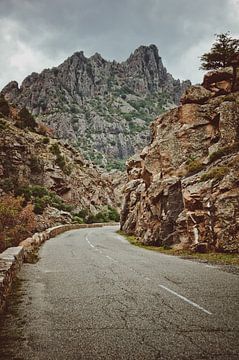 Serpentine on Corsica by Jonathan Schöps | UNDARSTELLBAR