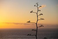 Prachtige zonsondergang op Lagomera