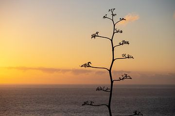 Prachtige zonsondergang op Lagomera van Meike de Regt