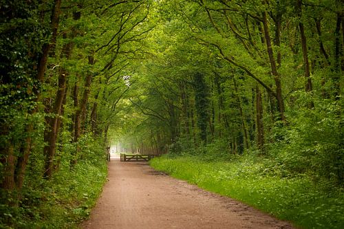 Une prière sans fin