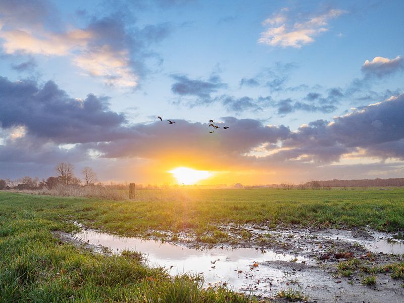 drenthe par snippefotografie