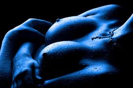 Blue Boobs II van Jörg B. Schubert