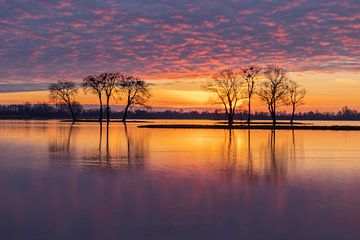 Sonnenaufgang Reeuwijkse plas von Boudewijn Rietveld