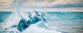Waves break on glacial ice. by Ron van der Stappen