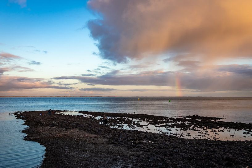 Regenboog boven het water van Adrianne Dieleman