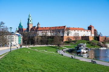 Het Wawel kasteel en park in Krakau van Werner Lerooy