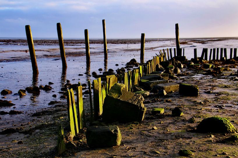 haven op Texel  von Henk Langerak