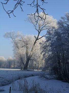 Winterrijp van Maarten van Dam
