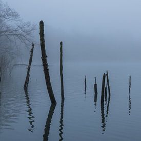 Het meer in de mist