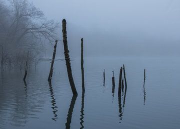 Het meer in de mist sur Pieter Navis