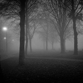 Wyckerpoort (Maastricht) im Nebel von Streets of Maastricht