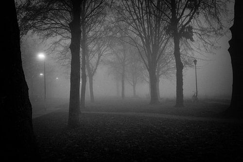 Wyckerpoort (Maastricht) in de mist