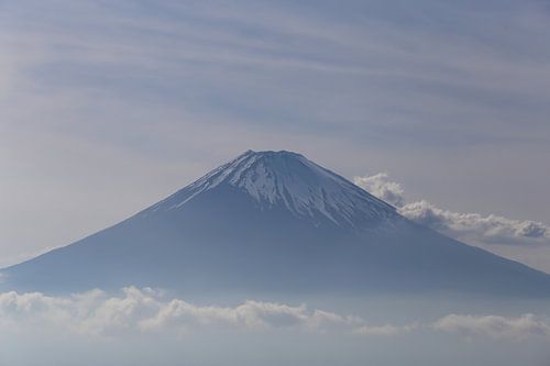 Fuji über den Wolken
