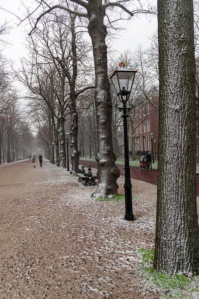Winterwunderland von Victoria Barberien