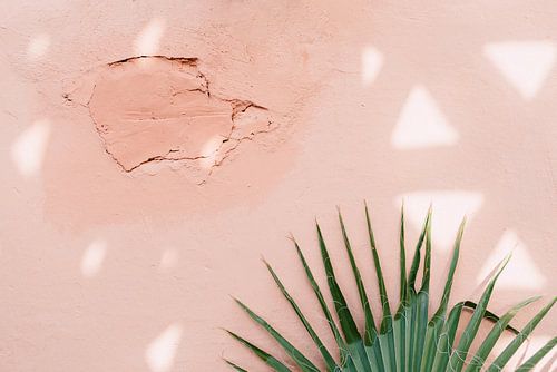 Pink walls in Marrakesh
