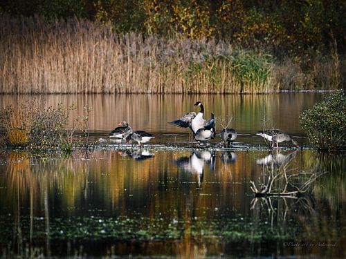 "Conversations en silence&quot ;