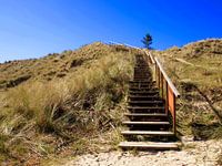 Duin met trap, Terschelling
