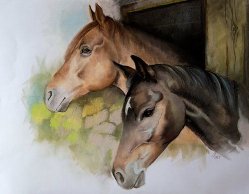 Paarden - zachte pasteltekening - Levidium Designing