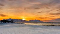 Senja in winter, Noorwegen van Adelheid Smitt thumbnail