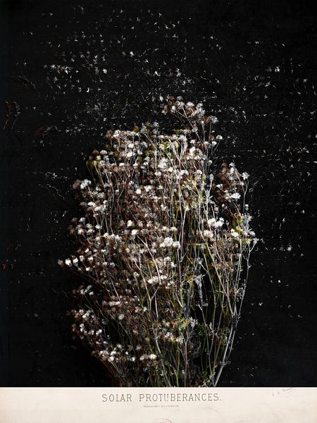 Trustfall III by Marianna Geraci