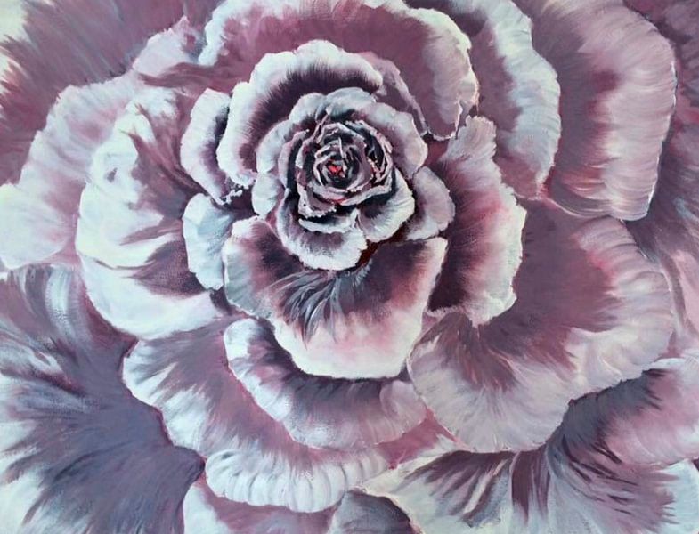 Pink rose by Almanzart almanza
