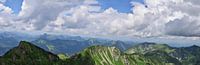 Panorama der Alpen