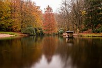 Waldteich Hemelseberg Oosterbeek in Herbstfarben