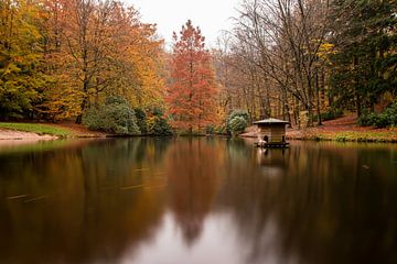De bos vijver Hemelseberg Oosterbeek in herfstkleuren van Daniëlle Langelaar Photography