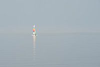 Kleuren op het wad