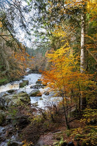 The Hermitage in Scotland