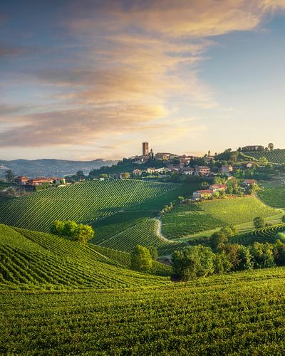 Barbaresco-dorp en wijngaarden in Langhe