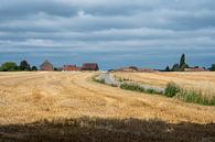 Color contrasts in Walloon agricultural fields by Werner Lerooy thumbnail